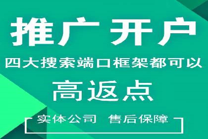 成功运用SEM服务实现品牌快速成长的案例